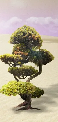 Plant Tree Landscape Live Wallpaper