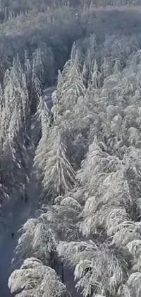 Enjoy a mesmerizing live wallpaper on your phone, showcasing a group of skiers gliding down a snow-covered slope surrounded by towering trees