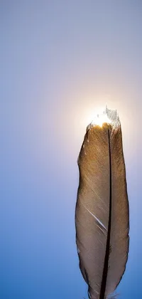 This mobile live wallpaper features a breathtaking eagle feather shot with a Canon EOS 5D camera