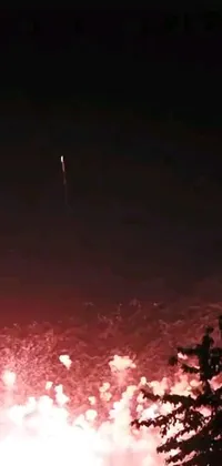 This phone live wallpaper features a mesmerizing display of bright fireworks bursting in the night sky