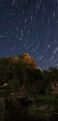 This phone live wallpaper showcases a mesmerizing display of neon yellow fireflies in flight against a dark blue background