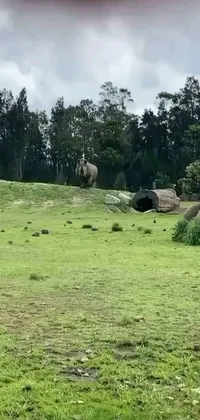 This mobile live wallpaper, filled with lush greenery, features a realistic representation of two majestic elephants standing in a biodome-like environment