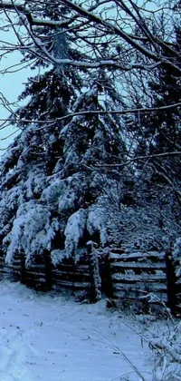 Experience the magic of winter with this exquisite live wallpaper