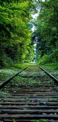 Decorate your phone's home screen with a beautiful forest-themed live wallpaper featuring a train track running through the lush greenery