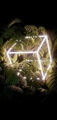 This live phone wallpaper features a vibrant green plant with intricate details and soft lighting and is surrounded by 3D geometric neon shapes in bright colors