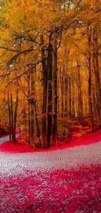This live wallpaper showcases a mesmerizing forest landscape brimming with red and yellow leaves