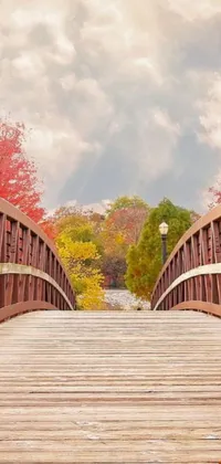 This live phone wallpaper showcases a tranquil wooden bridge spanning a serene body of water