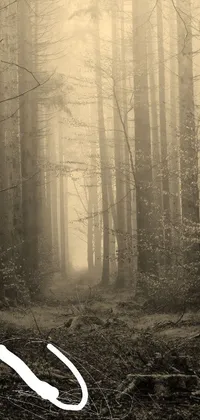This live wallpaper for your phone depicts a captivating black and white photograph of a forest