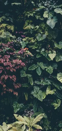 Looking for a stunning live wallpaper for your phone? Check out this beautiful image featuring a bunch of lush, intricate plants arranged next to each other in a breathtaking natural jungle setting