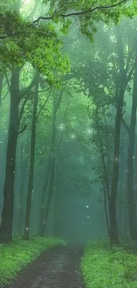 This phone live wallpaper showcases a dense, green forest enveloped in a misty ambiance