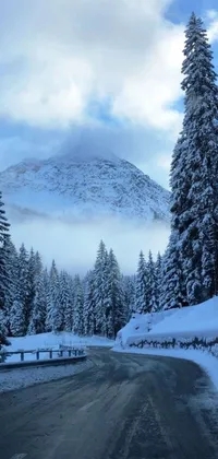 Get lost in the beauty of winter with this phone live wallpaper