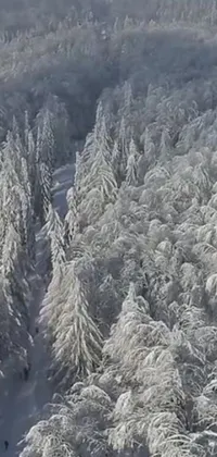 This phone live wallpaper showcases a group of people skiing down a snow-covered slope