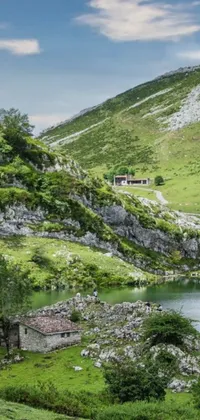 Transform your phone into a pastoral paradise with this stunning live wallpaper