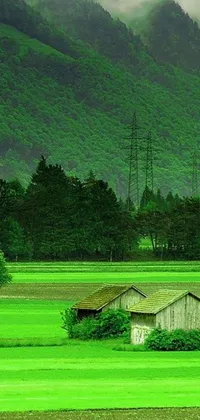 This phone live wallpaper showcases a serene barn and mountains in the background