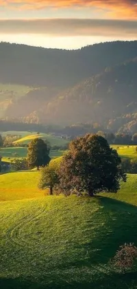 This phone live wallpaper features a beautiful landscape with trees on a green hillside, perfect for nature lovers