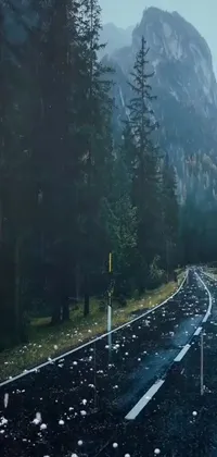 This stunning live wallpaper captures the natural beauty of a rainy scene with a hyperrealistic painting of a wet road, trees and mountains, creating a lifelike experience of nature on your phone