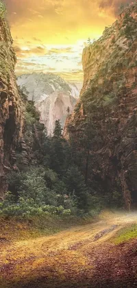 This phone live wallpaper showcases a stunning digital art of a dirt road within a canyon surrounded by an ancient forest