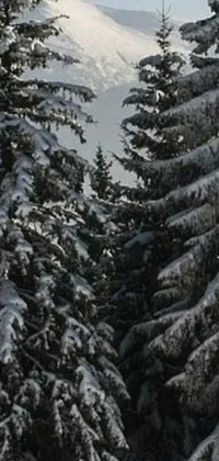 This phone live wallpaper features a masterful skier riding skis down a snow covered slope to showcase his skills