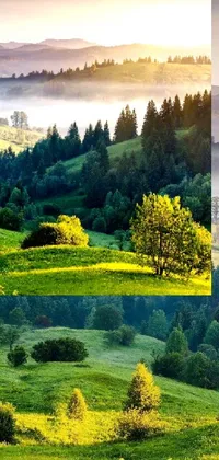 Looking for a serene and peaceful phone wallpaper? This live wallpaper shows a green field with trees and mountains in the background