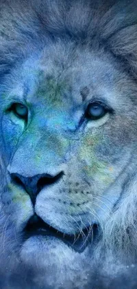 This mobile live wallpaper is a stunning airbrush painting of a lion's face on a black background