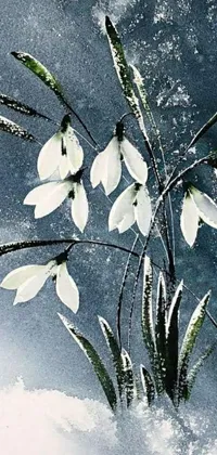 Plant Tree Petal Live Wallpaper