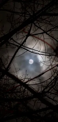 This phone live wallpaper showcases an eerie lunar scene with a full moon peering through tree branches
