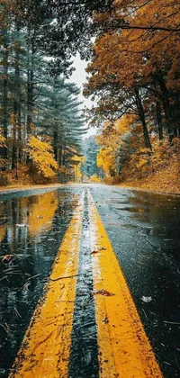 This phone live wallpaper boasts a realistic photograph of a wet forest road with a warm yellow and orange color scheme