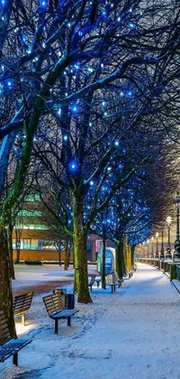 This phone live wallpaper features snow-covered benches and trees with beautiful blue lights in Coventry city centre