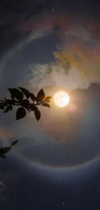 Enhance your phone's screen with a mesmerizing live wallpaper depicting a full moon with a halo
