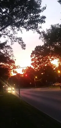 Bring the beauty of Wheaton, Illinois to your phone's screen with this stunning live wallpaper