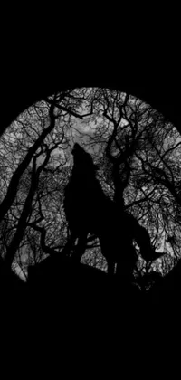 This stunning live wallpaper features a black and white photograph of a wolf in the forest silhouetted against a full moon