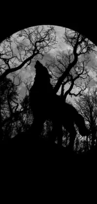 This live wallpaper features a haunting, gothic art-inspired black and white photograph of a howling wolf