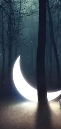 This phone live wallpaper features a mystical scene of a slender cat sitting in front of a crescent moon