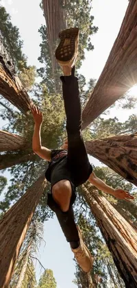 This phone live wallpaper displays an otherworldly scene featuring a skateboarder riding upside-down up a redwood tree in a lush green forest canopy