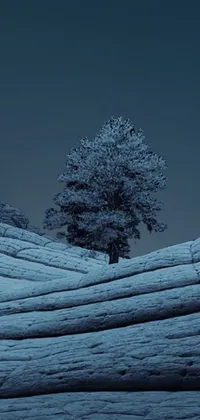 This mobile phone live wallpaper showcases the striking beauty of a sole tree atop a snowy hillside, depicted with digital art techniques