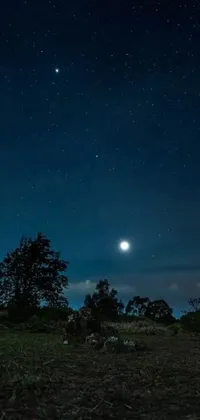 This phone live wallpaper captures the beauty of the night sky with a full moon shining bright over the Australian outback