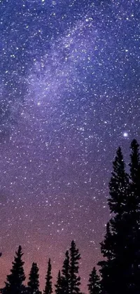 This live wallpaper features a beautiful night sky full of stars, trees, and a bright moon