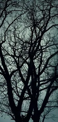 This phone live wallpaper features a black and white image of a bare tree surrounded by a dark blue mist