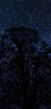 This captivating live wallpaper for your phone showcases a striking silhouette of a lone tree set against a backdrop of a dark night sky