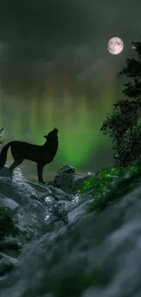 This phone live wallpaper features a beautiful digital art of a wolf standing on a green hillside, gazing at the water in front of it