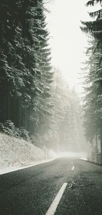 This live phone wallpaper showcases a serene, minimalistic black and white photograph of a road in the forest, complemented by the soft and serene falling snowflakes in the foreground