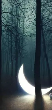 This live wallpaper for your phone features a beautiful crescent object radiating a calming light in the middle of a forest