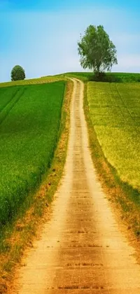 This phone live wallpaper showcases a serene landscape of a dirt road winding through a green field with tall trees in the backdrop