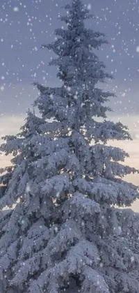 Bring nature's beauty to your phone with this stunning live wallpaper! A snow-covered tree sits majestically in the midst of a peaceful forest while stars twinkle in the background