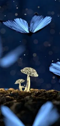 This live wallpaper features a gorgeous, high-quality animation of a group of blue butterflies fluttering over a mushroom in a peaceful forest