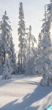 This live phone wallpaper features a snow-covered ground with a pair of skis resting on top, positioned diagonally with gentle snowflakes falling from the sky