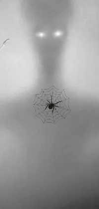 This live phone wallpaper captures the image of a spider perched on a finely crafted web outline, drawn in the style of an engraving