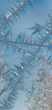 This phone live wallpaper showcases a beautiful, high-resolution view of ice crystals set against a clear blue sky