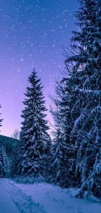 Transform your phone with a stunning live wallpaper featuring a picturesque winter landscape