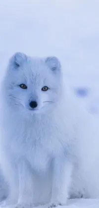 If you're looking for a charming live wallpaper for your phone, this one featuring a small white dog in the snow is perfect for you